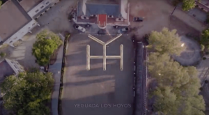 yeguada_los_hoyos_jerez_2021